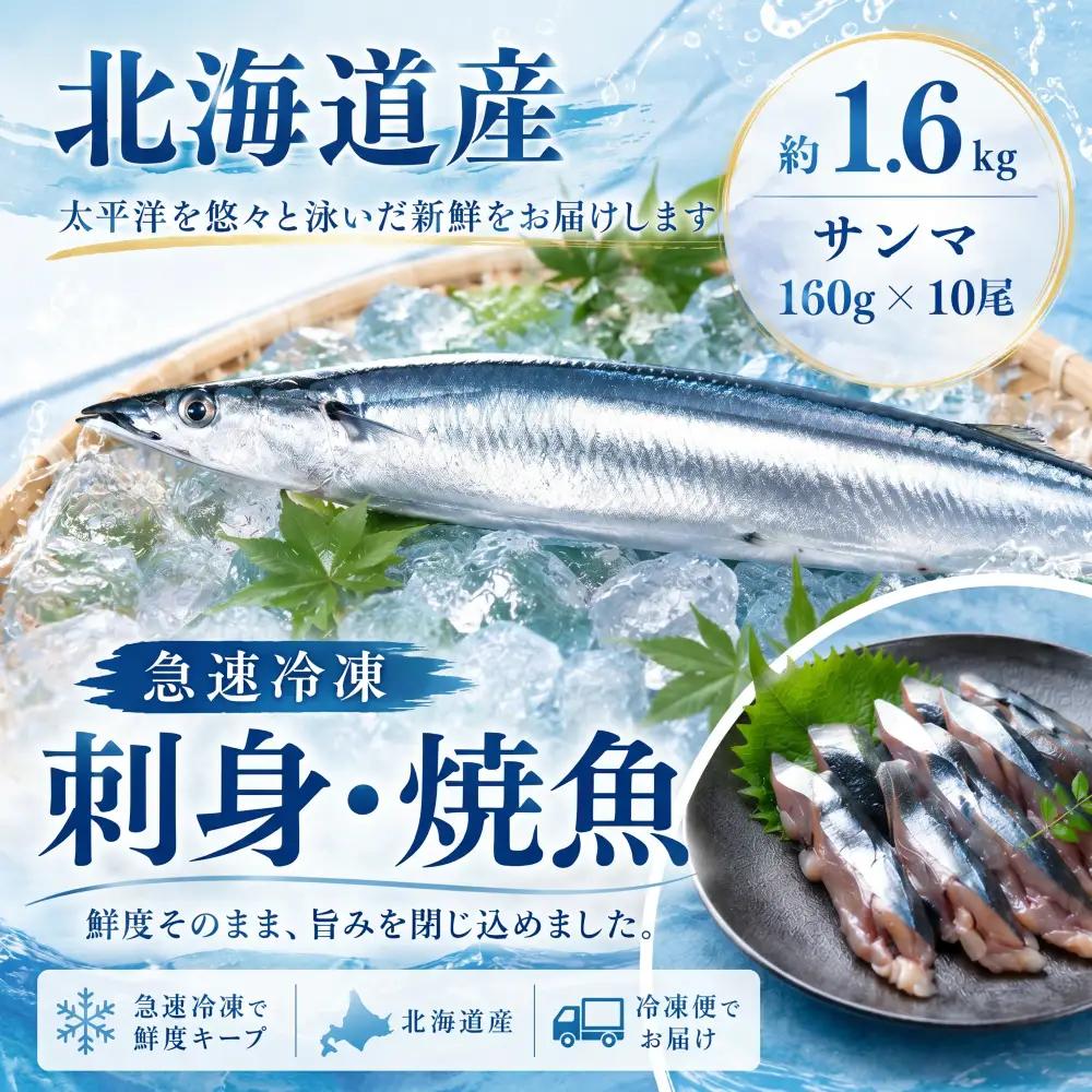 北海道産急速冷凍サンマ　160g×10尾　約1.6kg（AM0012）