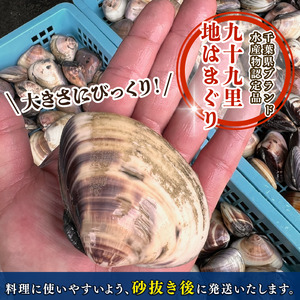 網元直送 九十九里産　活はまぐり　約2.0kg【配送不可地域：離島・北海道・沖縄県・東北・中国・四国・九州】【1363787】