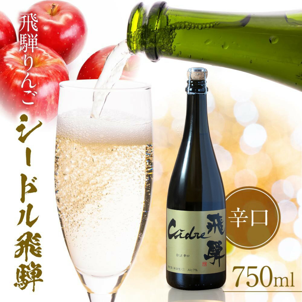 【ふるさと納税】飛騨りんご シードル飛騨 辛口 750ml | スパークリング スパークリングワイン シードル お酒 果実酒 りんご リンゴ 林檎 ワイン 飛騨高山 木戸脇果樹園 FP001