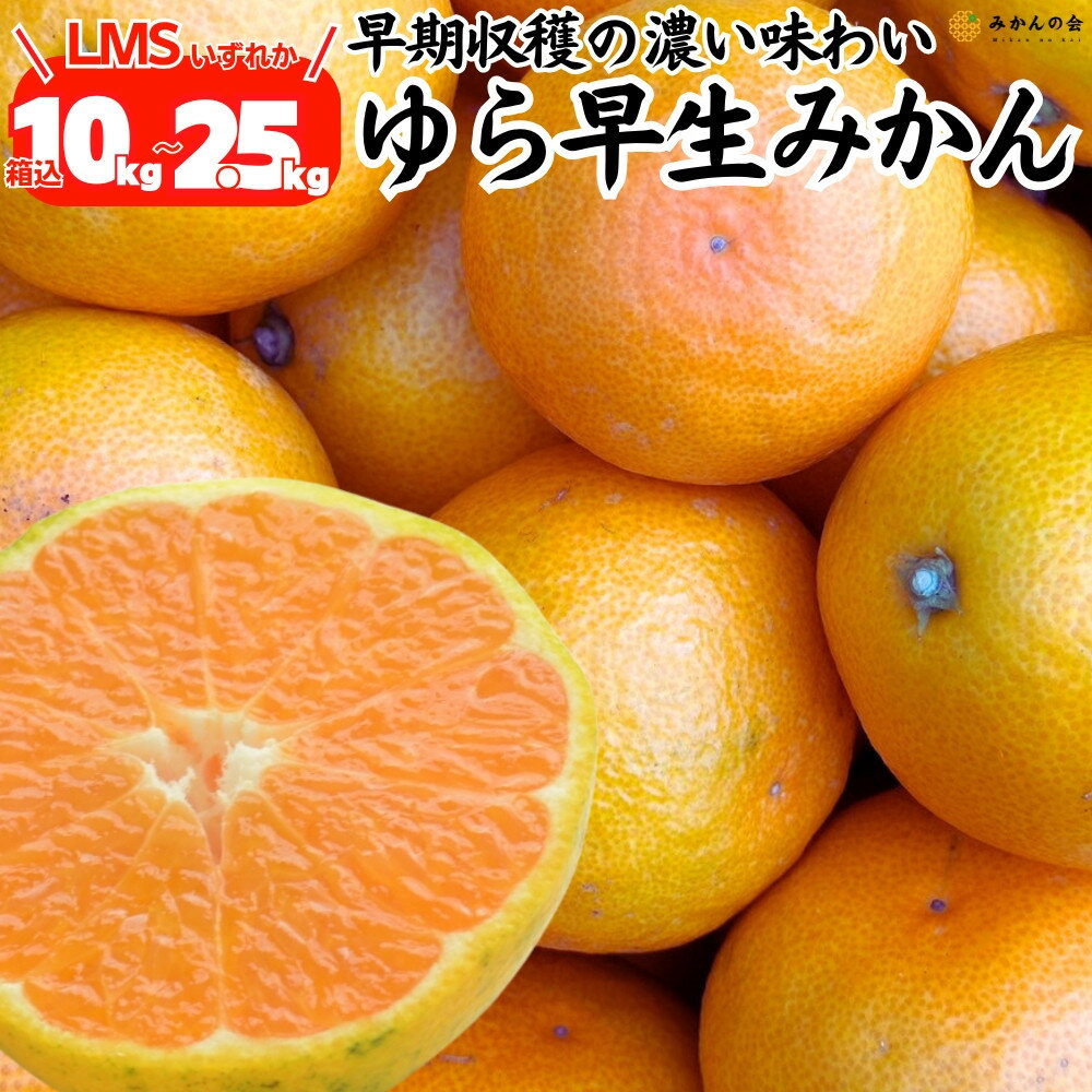 【ふるさと納税】ゆら早生 みかん 箱込 2.5～10kg SMLサイズのいずれか 秀品 優品 混合 有田みかん 和歌山県産 【みかんの会】［2026年10月下旬頃より順次発送予定］ | 和歌山 フルーツ 果物 くだもの かんきつ 柑橘 柑橘類 みかんの会 送料込み 送料無料