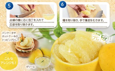 【先行予約】土佐文旦 約3kg（2L～4Lサイズ）- 期間 数量限定 果物 くだもの フルーツ 柑橘類 果実 ぶんたん ブンタン 美味しい フレッシュ ジューシー 果汁 間城農園 3キロ ザボン ボン