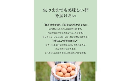 たいまのけはやたまご 120個入り /たまご 生卵 奈良県 葛城市【tegg005】