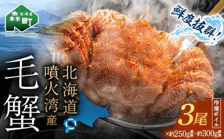 【訳あり】北海道・噴火湾産冷凍ボイル毛ガニ約300g前後×3尾 新物 2025年6月～7月水揚げ 毛ガニ 毛カニ 蟹 かに かにみそ 海産物 海鮮 森町 mr1-1450