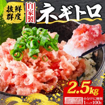 ふるさと納税 松山市 【まぐろ屋さんのねぎとろ】自家製ねぎとろ　たくさん食べれる♪　2.5kg(100×25パック)