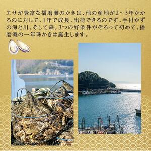 内閣総理大臣賞受賞 蒸しカキ 珠せいろ 大粒1kg（500g×2）｜【牡蠣・国産牡蠣・兵庫牡蠣・相生牡蠣・牡蠣・冷凍牡蠣・むき身牡蠣・焼き牡蠣・牡蠣フライ・牡蠣ご飯・牡蠣めし】
