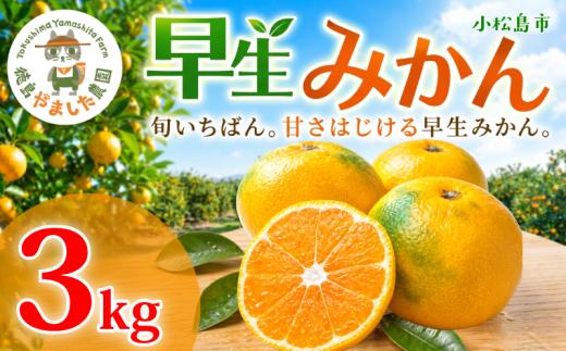 【先行予約】 【2026年10月下旬順次発送】 早生みかん 3kg みかん 早生 柑橘 果物 くだもの フルーツ 国産 新鮮 甘い 農家直送 徳島県 小松島市