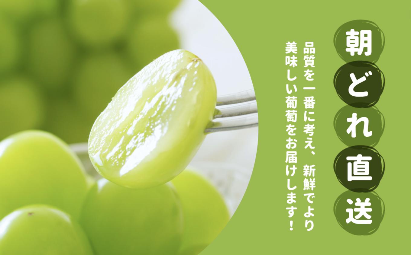 画像はイメージです。