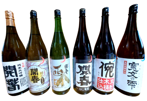 若林酒造「開春」日本酒 生もと6種飲み比べセット（1.8L×6本）【日本酒 6本 セット 6種類 1800ml 開春 生? 生もと 西田 寛文の雫 ? 生もと山口 生もと純米吟醸 生もと純米大吟醸 飲み比べ ギフト 父の日 島根県 大田市】