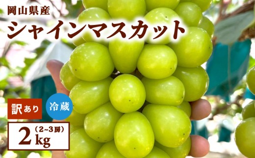 【訳あり】2026年9月発送 岡山県産 シャインマスカット 2kg
