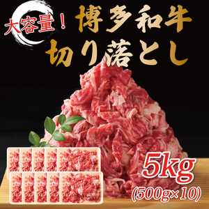 【ふるさと納税】訳あり！博多和牛切り落とし 5kg(500g×10ｐ) [a9446] 株式会社Meat Plus ※配送不可：離島【返礼品】添田町 ふるさと納税