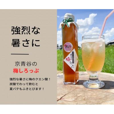 ふるさと納税 城陽市 炭酸水や、カクテルで楽しめる梅の味【京青谷の梅しろっぷ】200ml×3本 |  | 01