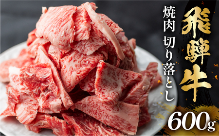 飛騨牛 焼肉 切り落とし 600g 訳あり 訳アリ 不揃い カルビ 牛肉 肉 バーベキュー BBQ 和牛 贈答 ギフト 焼き肉 切り落とし わけあり ふぞろい ワケアリ 15000円 おすすめ 岐阜県 白川村 [S767]