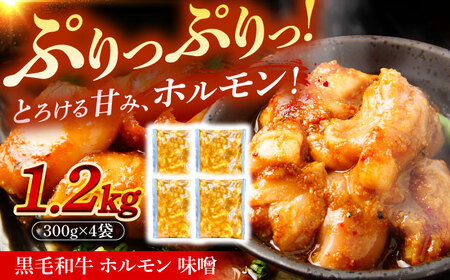 黒毛和牛ホルモン 味噌 1.2kg （300g×4袋）[AZCW055] 和牛ホルモン