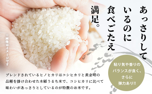 令和7年産 精米 「ふる里からの贈り物」20kg 国内産 ひのひかり ヒノヒカリ 未検査米 ブレンド米 白米 お米 熊本県 多良木町 036-0179