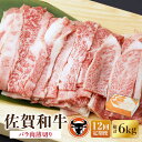 【ふるさと納税】【12回定期便】 佐賀和牛 バラ肉薄切り 500g 佐賀県産 黒毛和牛 牛肉 牛 佐賀県嬉野市/一ノ瀬畜産 [NAC103]