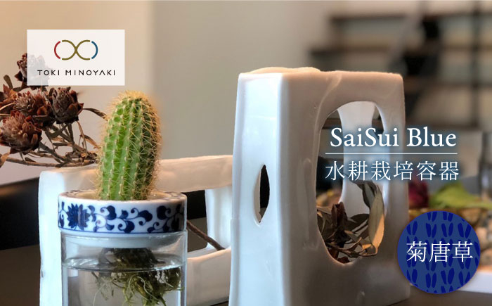 
【美濃焼】SaiSui Blue（菊唐草）【大東亜窯業】【TOKI MINOYAKI返礼品】鉢 園芸 インテリア [MAG007]
