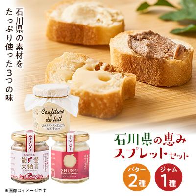 ふるさと納税 野々市市 石川県の恵み人気3種スプレットセット