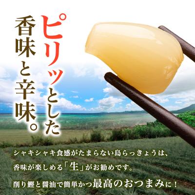 ふるさと納税 石垣市 ≪2026年2月下旬〜5月下旬発送≫採れたて島らっきょう 500g |  | 02
