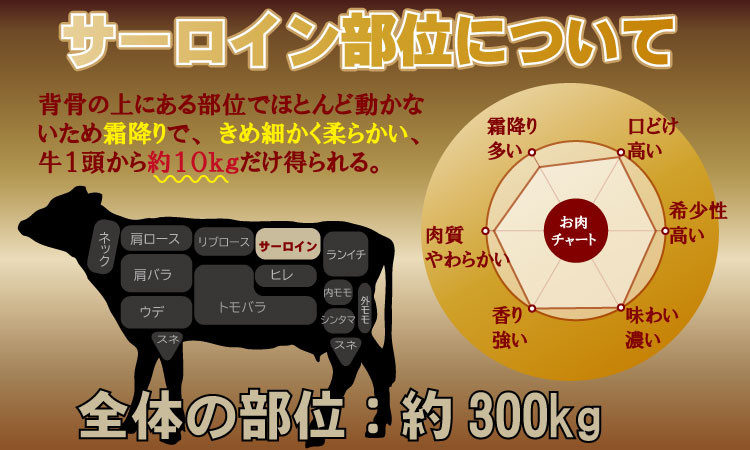 こだわりの 佐賀牛 サーロイン ステーキ 用３枚　（合計500g） 桑原畜産