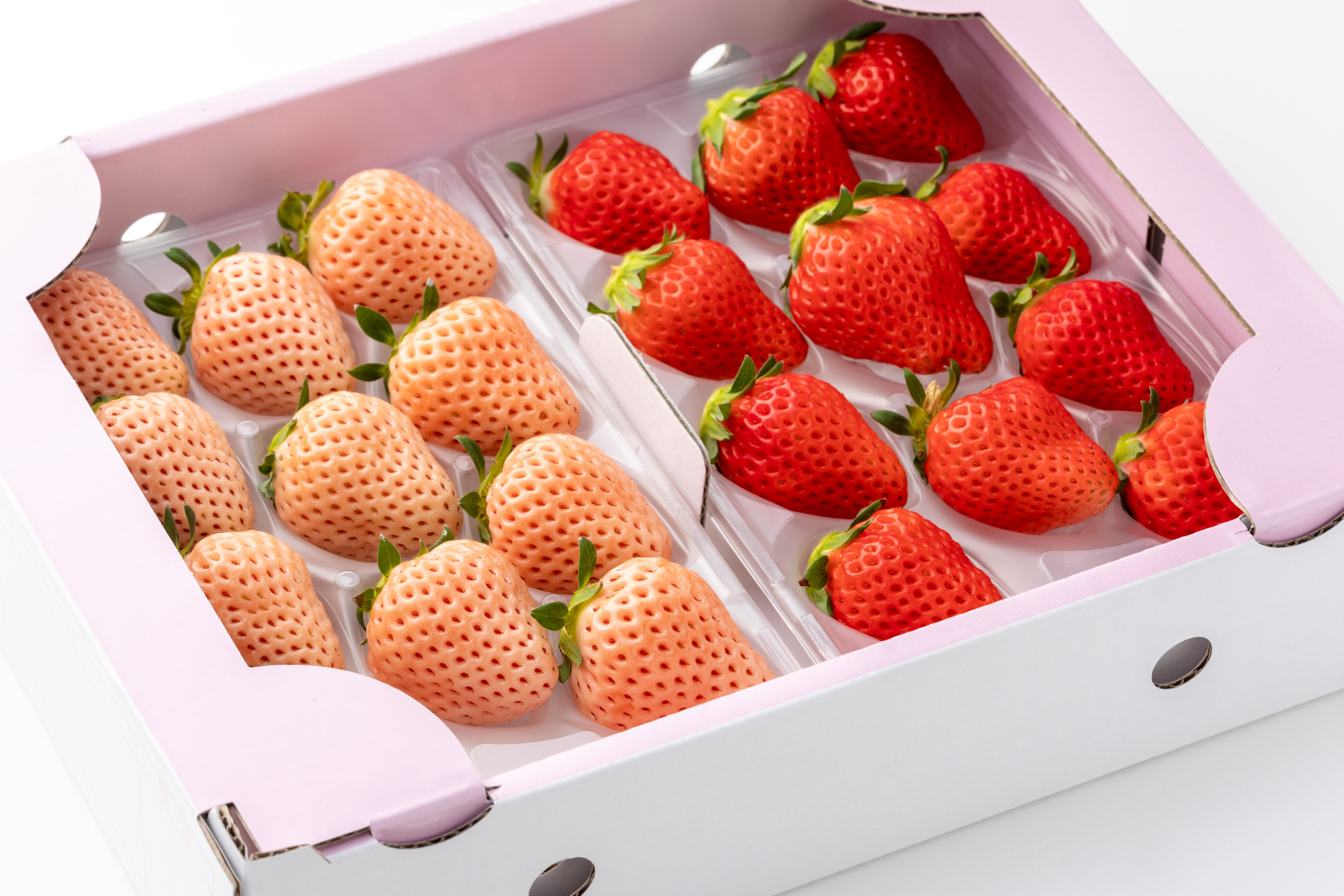 左：淡雪／右：さがほのか
お届けは、さがほのか220g×2P、淡雪220g×2Pです。