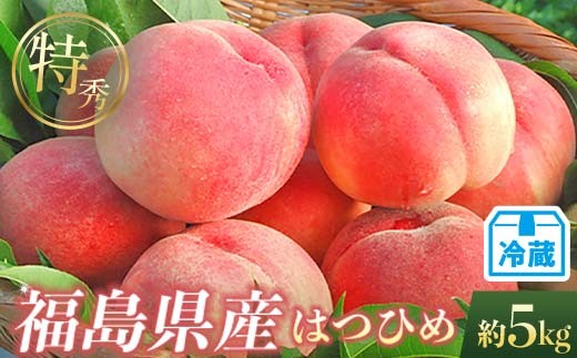 
                  2026年先行予約 <冷蔵配送> 糖度11度以上 特秀 福島県産 はつひめ 約5kg 透過式光センサー選別  数量限定 期間限定 桃 もも モモ 果物 くだもの フルーツ F21C-455
                