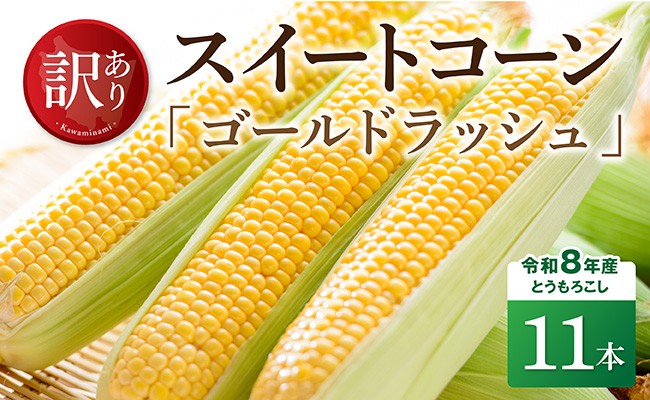 
                  【訳あり】令和8年産とうもろこし　スイートコーン「ゴールドラッシュ」11本 【 新鮮 農家直送 トウモロコシ 産地直送 季節限定 期間限定 宮崎県産 九州産 】
                