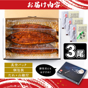 国産 鰻 蒲焼 3尾 計480g以上 うなぎ 鰻 有頭【一般社団法人きもつき宇宙協議会】B57002