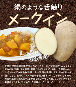十勝野じゃがいも詰合せセット10kg（きたあかり・メークイン）【2026年秋出荷】（先行受付）［按田農場］