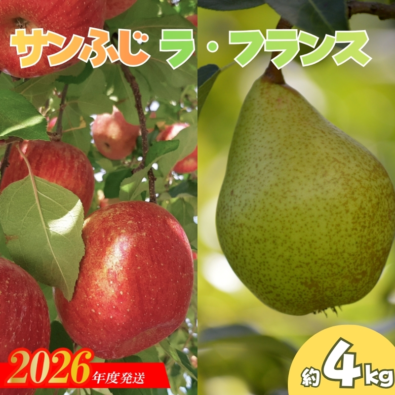 No.0791 りんご「サンふじ・ラフランス詰合せ」約4kg化粧箱入【2026年度発送】