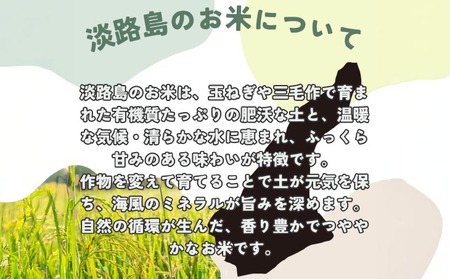 令和7年産新米　淡路島産キヌヒカリ　玄米5kg