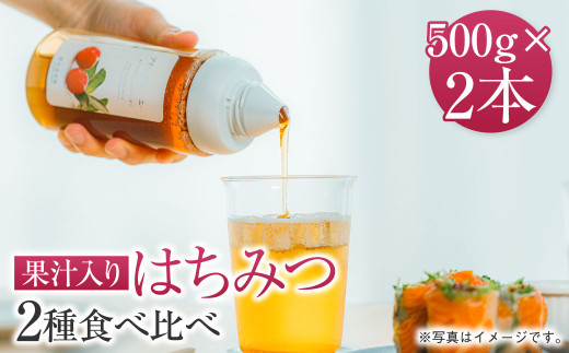 熊本 杉養蜂園 【ゆず蜜×アセロラ】果汁入り はちみつ 500g 2種 計1kg 食べ比べ 蜂蜜