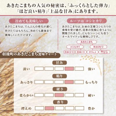 ふるさと納税 羽後町 秋田県羽後町産あきたこまち 精米 10kg(5kg×2袋)[No.5325-0583] |  | 03