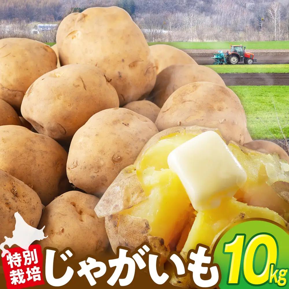 R8年産先行受付 じゃがいも 10kg 特別栽培（男爵） | ジャガイモ 芋 男爵 馬鈴薯 大容量 新鮮 野菜 煮物 カレー シチュー ポテト 保存 特産 産地直送 北海道 津別町 送料無料