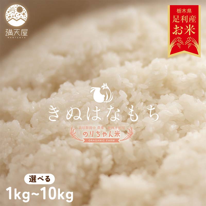 【ふるさと納税】＼選べる容量／令和7年 足利市産 のりちゃん米 もち米 (きぬはなもち) 1kg 2kg 5kg 10kg ＜栽培期間中 農薬・肥料不使用＞ 餅 もち 米 こめ 食品 農家 限定 2025年 年末 正月 新年 贈答 贈り物 ギフト プレゼント 家庭 自宅 栃木県 足利市 F7Z-1719var