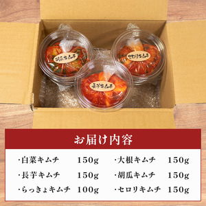 【 本場の味を再現 】 定番 キムチ 6種 詰め合わせセット 中辛 キムチ