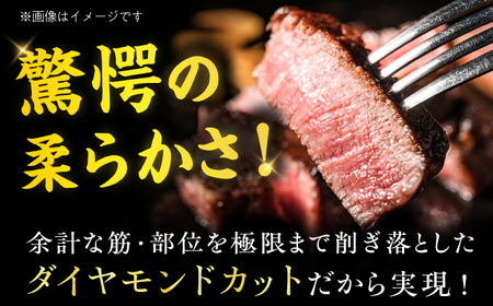 【全2回定期便】博多和牛 ヒレ シャトーブリアン 200g×5枚 広川町 / 久田精肉店株式会社[AFBV029]