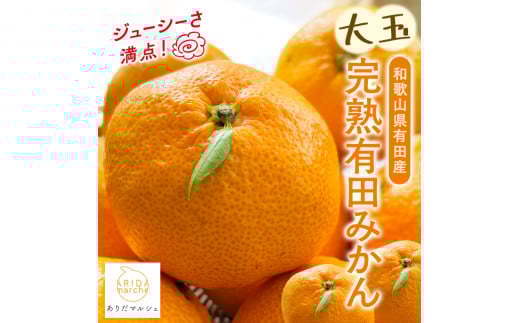 【先行予約】【果汁たっぷり】迫力満点！ 大粒 有田みかん 8kg+200g【2025年11月中旬～12月下旬順次発送予定】【ard226】