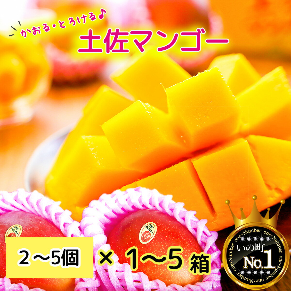 【ふるさと納税】かおる・とろける！土佐マンゴー(2〜5個)×1箱/2箱/3箱/4箱/5箱 完熟 予約受付 フルーツ 特産品 産地直送 送料無料 期間限定 数量限定 美味しい おすすめ 5月 6月 7月 8月
