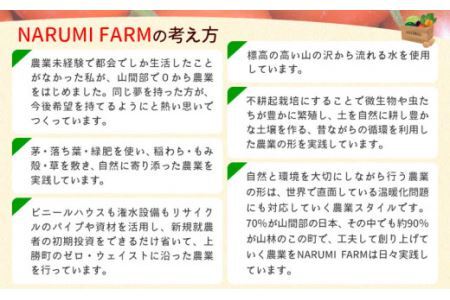 山茶 ミント 1パック NARUMIFARM《30日以内に出荷予定(土日祝除く)》お茶 茶 ハーブティー 自然栽培 ブレンドティー ブレンド オーガニック 飲料 飲み物 お家時間 徳島県 上勝町 送料