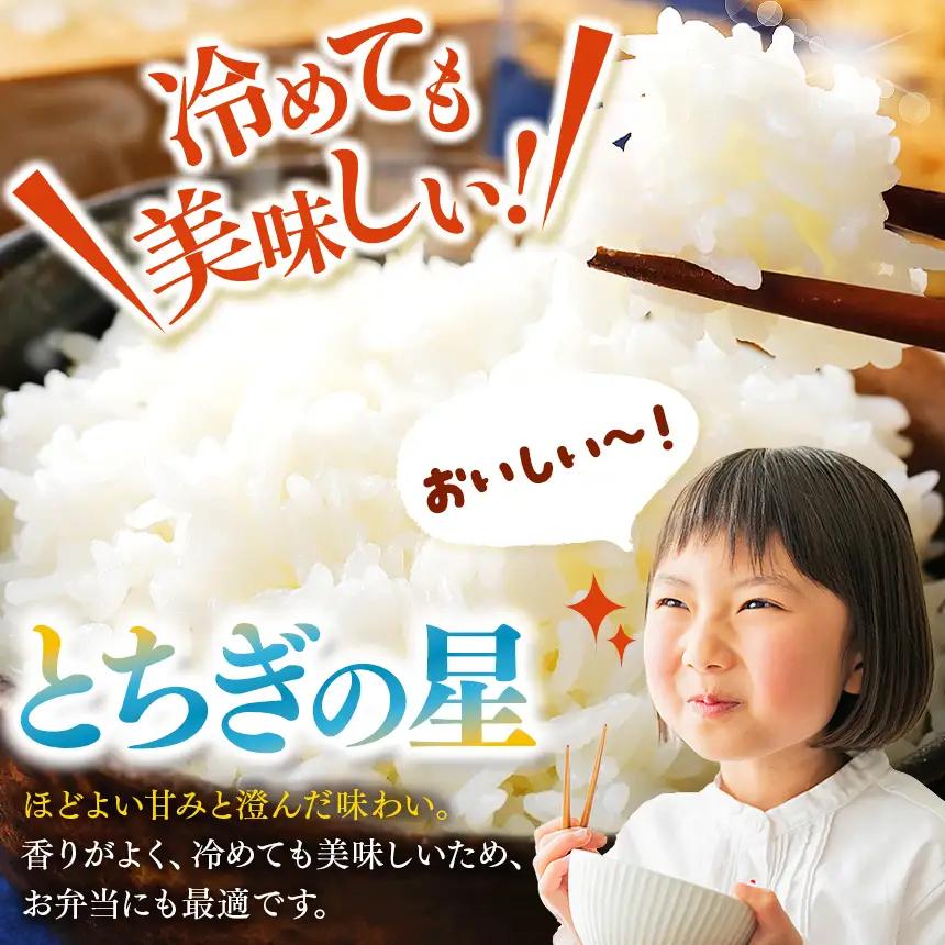 令和8年度産 先行予約 【定期便3回】とちぎの星 白米 約4kg