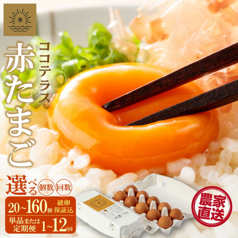 【ふるさと納税】《テレビで紹介されました！》ココテラスの明日（ 赤たまご ）【選べる個数・お届け回数】【 JGAP認証 】エサに10%の米を配合しているためコクがあります！ 農家直送 新鮮 卵 純植物性飼料 飼料にこだわった 卵かけご飯 米たまご 大容量 卵 送料無料