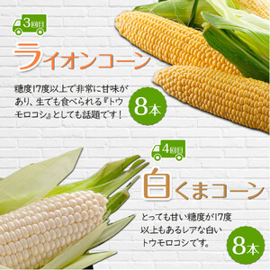 【26年5月発送開始】かに太郎 定期便Gセット（アスパラ、赤肉メロン、ライオンコーン、白くまコーン、無添加鮭イクラ醤油漬け）全5回 | メロン 03820