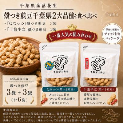 ふるさと納税 大網白里市 千葉県産落花生「千葉半立・Qナッツ」殻つき6袋セット(総容量675g【120g×3・105g×3】)