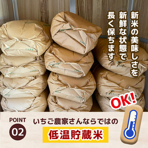 【定期6回】令和7年度 栃木県産こしひかり（玄米）約2kg