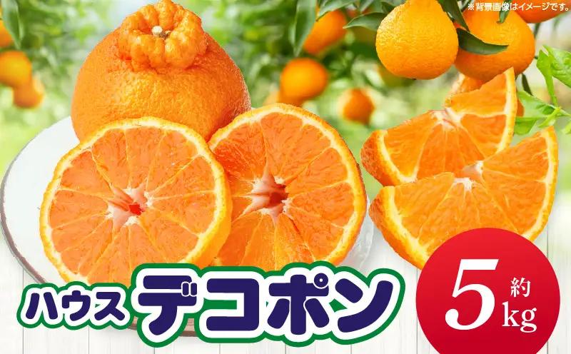 【先行予約】ハウスデコポン約5kg（12－24玉）【香川県共通返礼品】 | デコポン 甘い 酸味 柑橘 柑橘系 果物 フルーツ 青果 デザート グルメ おすすめ 贈答 贈り物 贈答用 ギフト プレゼン