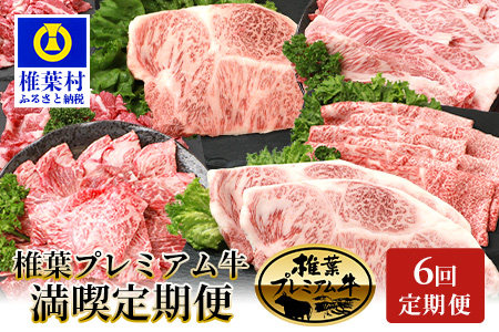 【定期便6回】総重量3.1kg 椎葉プレミアム牛満喫定期便≪ステーキ・すき焼き・しゃぶしゃぶ・焼き肉≫ 国産牛 黒毛和牛 和牛 牛肉 赤身 肉 定期便 ステーキ すき焼き しゃぶしゃぶ 焼肉 バーベキ