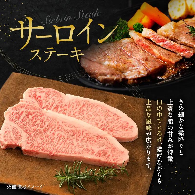 神戸牛 贅沢セットB 700g 神戸ビーフ 神戸牛