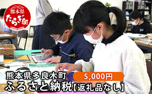 
熊本県多良木町への寄附（返礼品はありません）【 ふるさと納税 熊本県 多良木町 応援 寄附 】 028-0344-05
