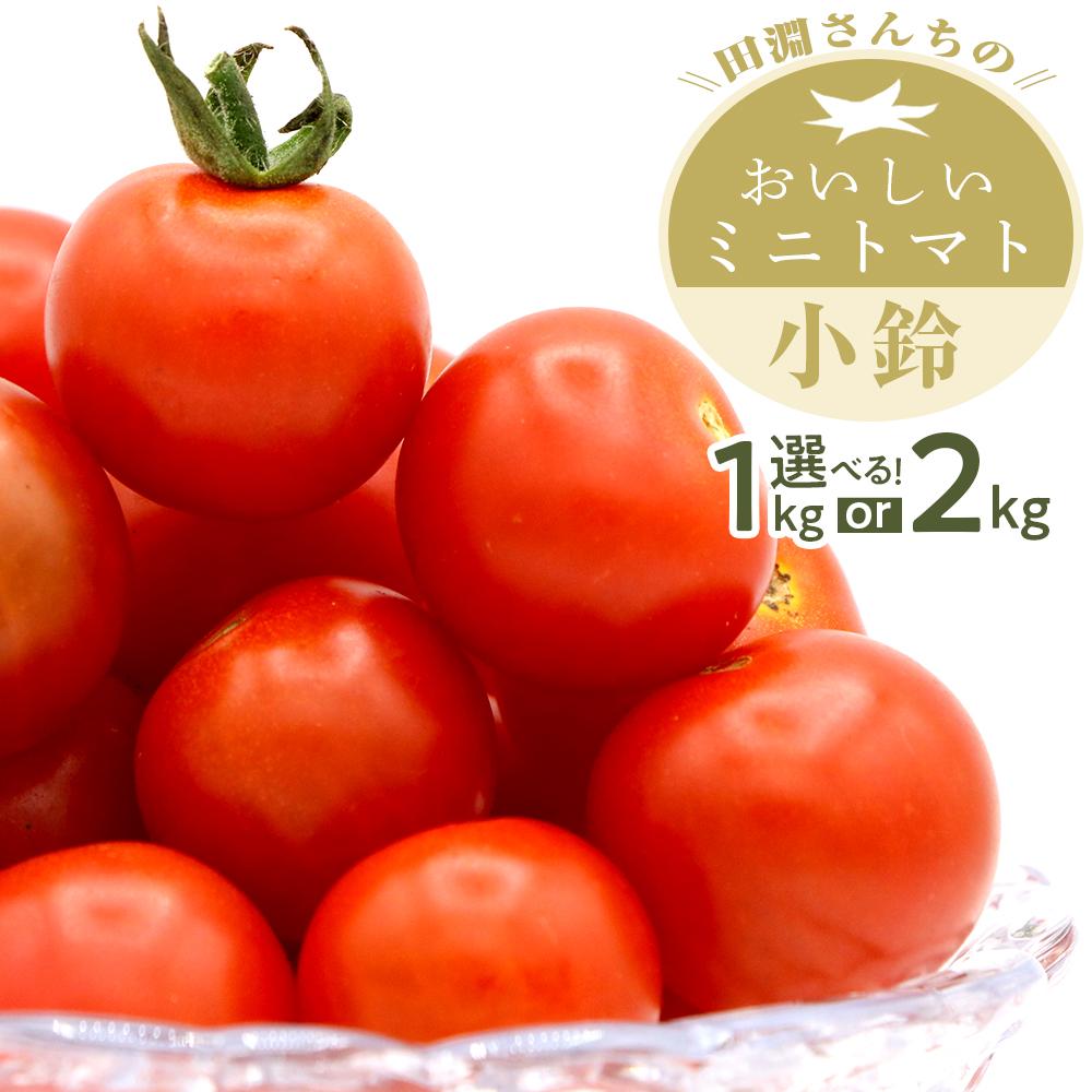 【ふるさと納税】ミニトマト 小鈴 南大隅町産 【 1 kg ・ 2 kg 】 | 産地直送 トマト ミニトマト 1キロ 2キロ 1箱 1kg サラダ 野菜 やさい ベジタブル 新鮮 人気 おすすめ 美味しい 送料無料 ふるさと納税