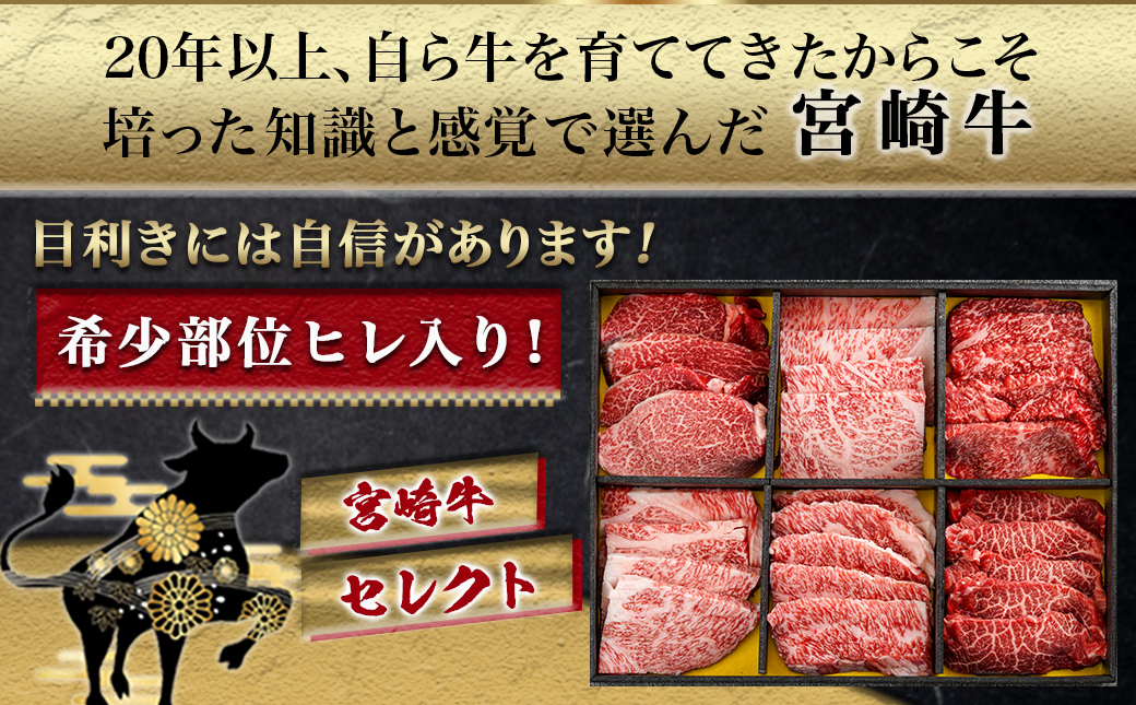 【お歳暮】≪希少部位ヒレ入り!≫ 宮崎牛【特選】6種盛 焼肉堪能セット 600g≪11月17日～12月21日お届け≫_24-6502-WG